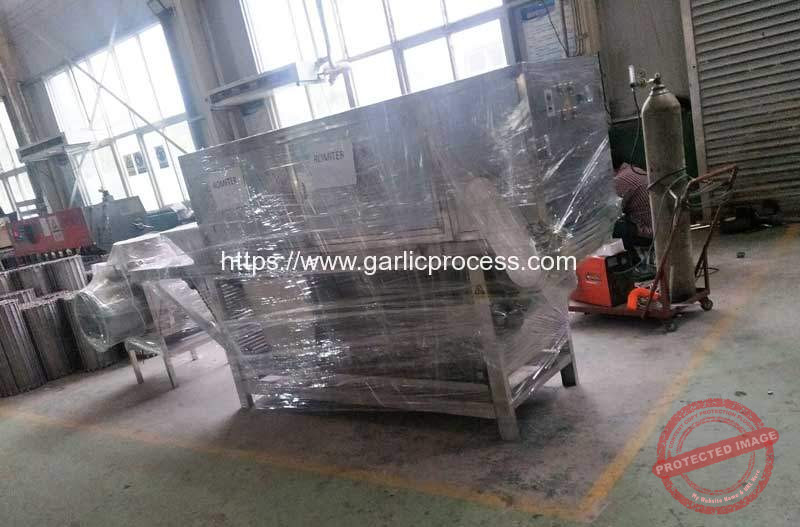 No-Damage-Chain-Type-Garlic-Peeling-Machine-for-Spain-Customer